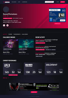 ULTIMATE GAMER ARENA App - "Profile" section